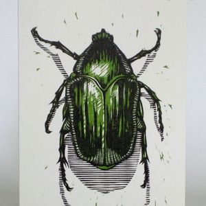 Meet your Posher, Britton